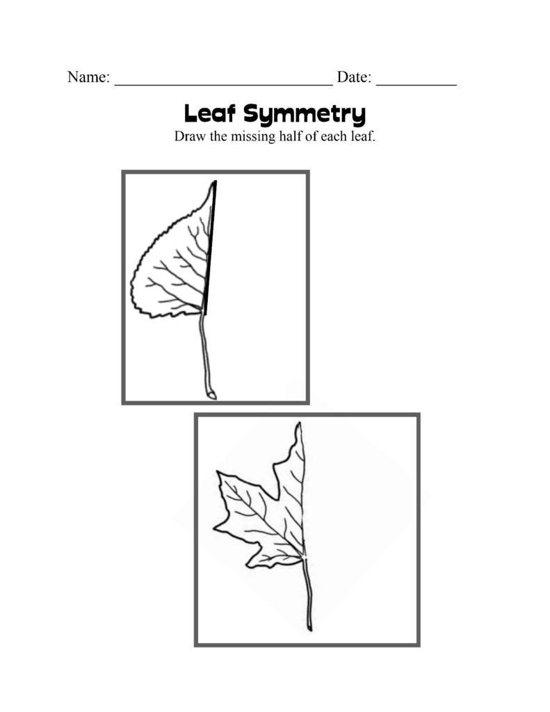 Arbor Day Unit | Learning about Trees - My Teaching Library ...