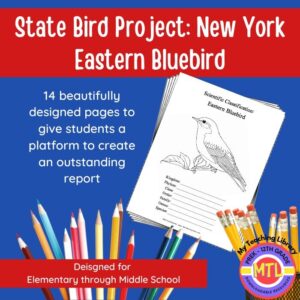 New York State Bird – State Symbol: Eastern Bluebird