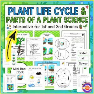 Plant Life Cycle & Parts of a Plant Science | Interactive for 1st and 2nd Grades