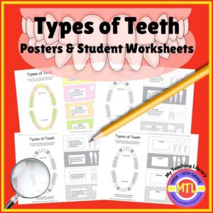 Teeth Posters and Student Worksheets
