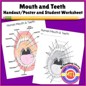 Mouth and Teeth Handout / Poster and Worksheet