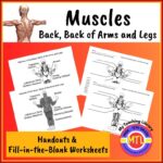 Homeschooling Curriculum - My Teaching Library
