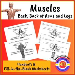 Muscles of the Back | Handouts and Worksheets