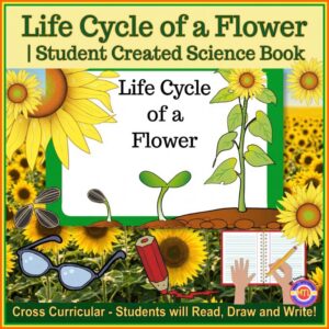 Life Cycle of a Flower| Student Created Science Book