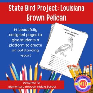 Louisiana State Bird Project: Brown Pelican
