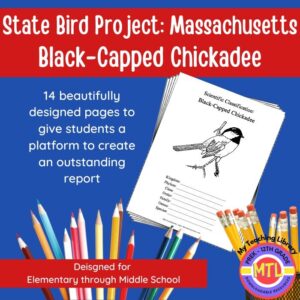 Massachusetts State Bird: Project: Black-Capped Chickadee