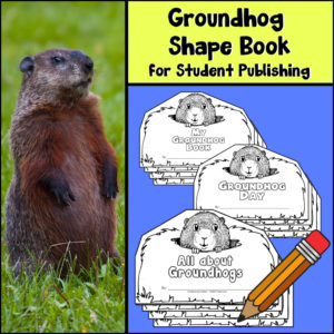 Groundhog shape book