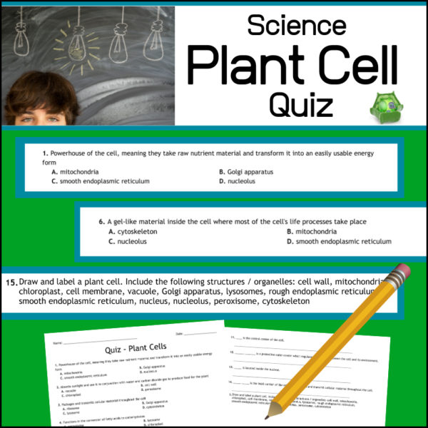 Science Assessment - Quiz - Plant Cell Organelles and Structures