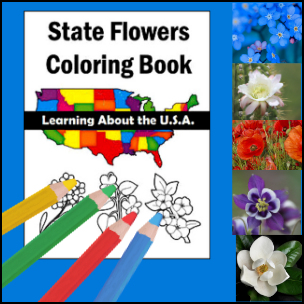 U.S. State Flowers Coloring Pages