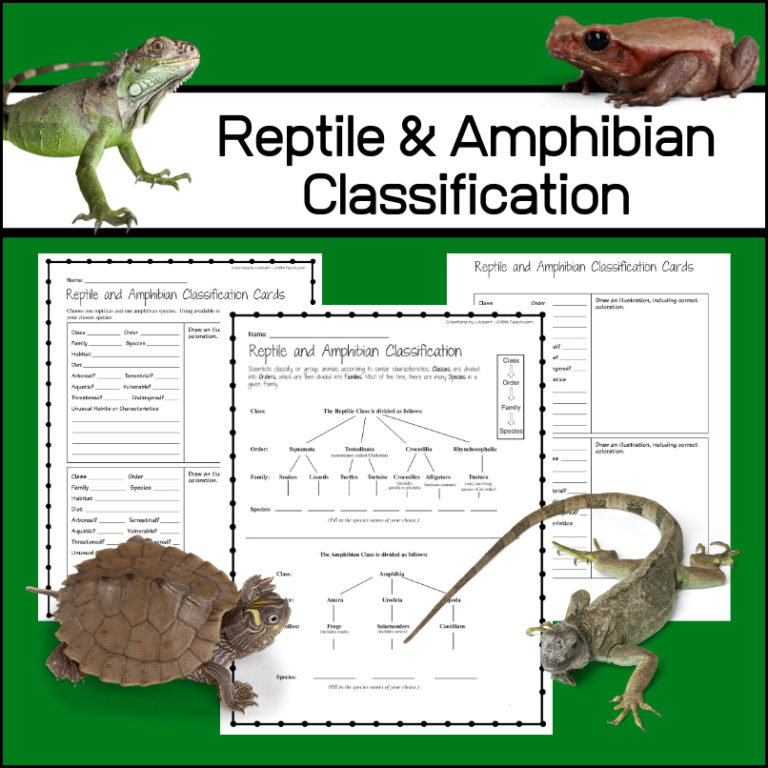 Reptile and Amphibian Classification Activities - My Teaching Library