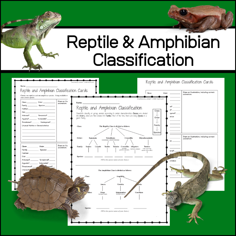 Reptile and Amphibian Classification Exercises and Cards