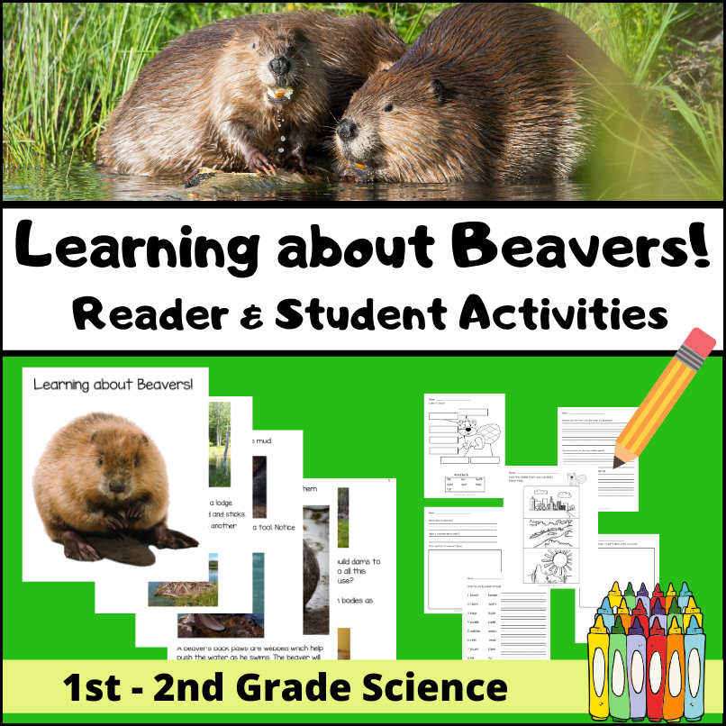 Beaver - Reader and Activities
