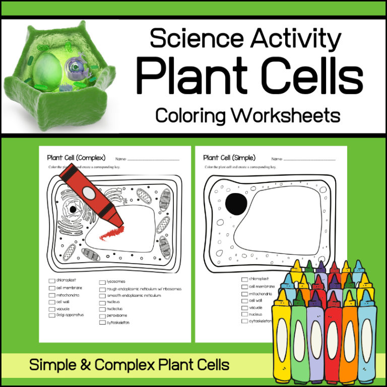 Plant Cell Coloring Worksheets - My Teaching Library ...