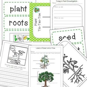 Let's Learn about Plants | Science for 1st and 2nd Grades - My Teaching ...