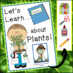 Plant Science for 1st and 2nd grades
