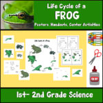 Life cycle of a frog worksheets