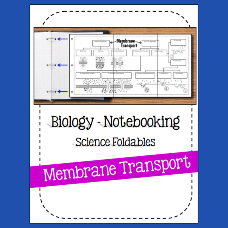 High School Biology Notebook resource!

Students will learn all about the cell membrane. Terms include: passive transport, active transport, diffusion, osmosis, facilitated diffusion, molecular active transport, bulk transport, primary active transport, secondary active transport, exocytosis, endocytosis, phagocytosis, pinocytosis, receptor mediated endocytosis
