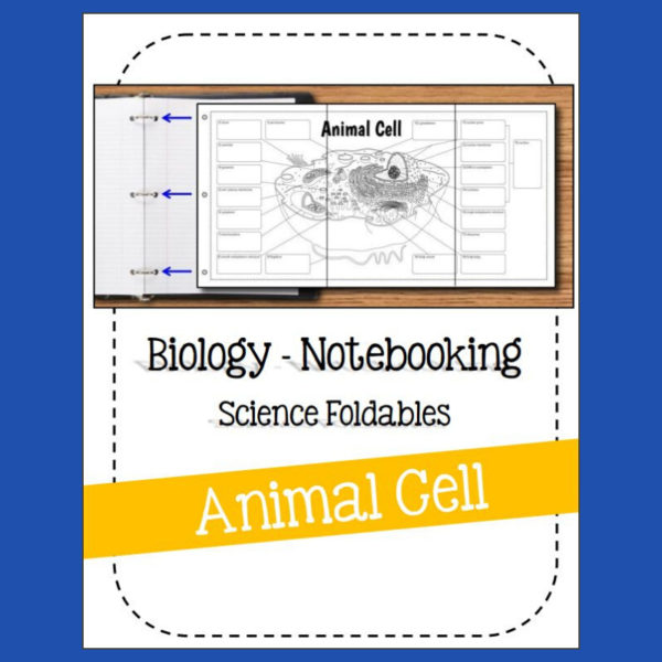 High School Biology Notebook resource!

Students will learn the following terms: peroxisome, cilium, centriole, lysosome, cell / plasma membrane, cytoplasm, mitochondrion, smooth endoplasmic reticulum, flagellum, cytoskeleton, nuclear pores, nuclear membrane / envelope, DNA, nucleolus, nucleus, rough endoplasmic reticulum, ribosomes, Golgi body, Golgi vesicles