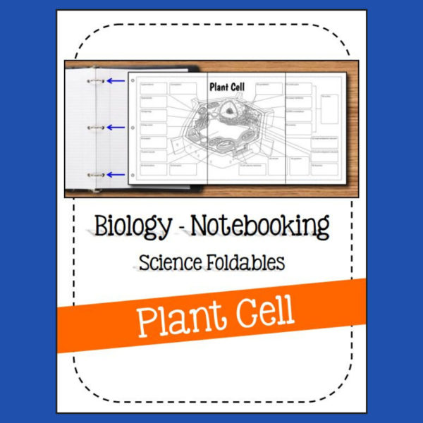 Students will learn the following terms: plasmodesma, amyloplast, peroxisome, Golgi body, Golgi vesicles, tonoplast, central vacuole, mitochondrion, chloroplast, cytoskeleton, nuclear pores, nuclear membrane / envelope, DNA in nucleoplasm, nucleolus, nucleus, rough endoplasmic reticulum, smooth endoplasmic reticulum, ribosomes, cytoplasm, cell wall, cell / plasma membrane