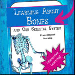 skeletal-system-lapbook