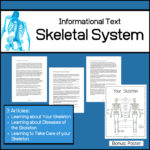 science articles - comprehension - skeletal system worksheets
