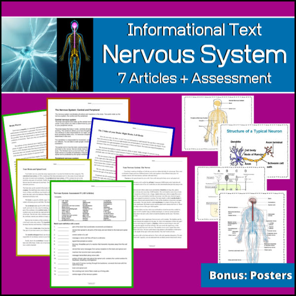 This ANATOMY / BIOLOGY / HEALTH resource contains 7 informational text articles (each with comprehension questions followings), 2 end of unit assessments and 4 bonus posters! These articles can be used in any Science related class or in a Language Arts / Reading classroom. Use as standalone mini-lessons or as supplemental activities, homework or in centers.