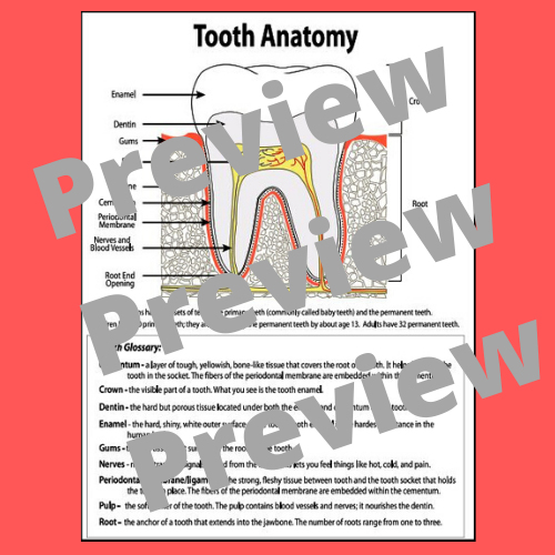 tooth-poster