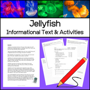 Jellyfish Informational Article and Worksheets
