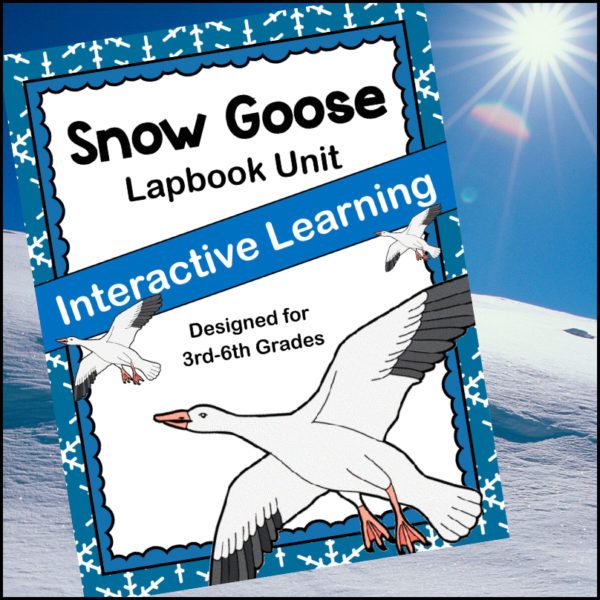 lapbook-snow-goose