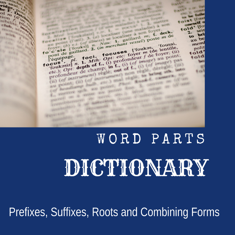 word-parts-suffixes-prefixes