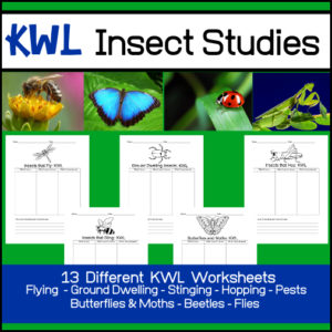 Insect Study - KWL Worksheets