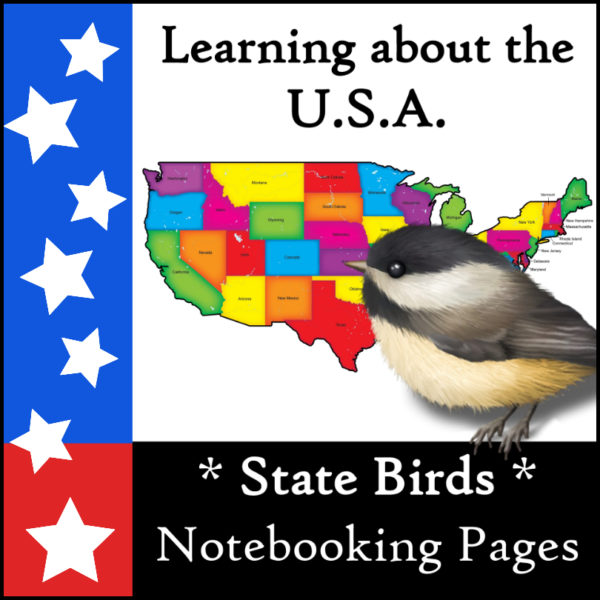 State-birds-notebooking-bundle