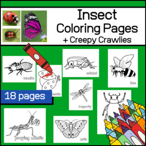 Insect and Creepy Crawlies Coloring Book