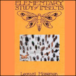 Elementary Study of Insects - Downloadable copy