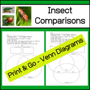 Comparing Insects using Venn Diagram - Science