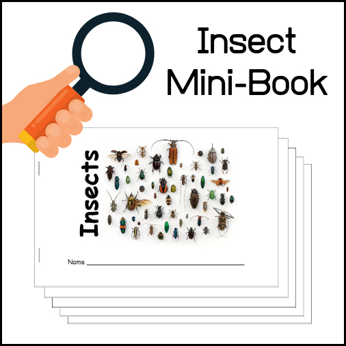 Insect Minibook for students
