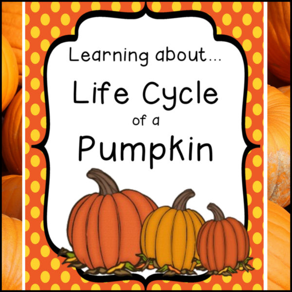 pumpkin-life-cycle