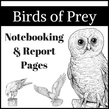 birds-of-prey-notebooking-research-reports