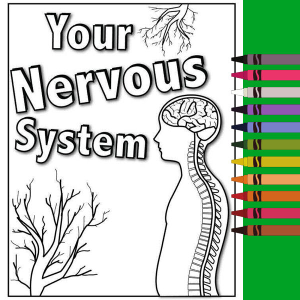 nervous-system-coloring