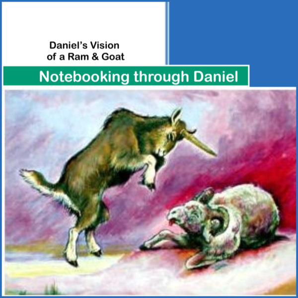 Daniel-8-Ram-Goat
