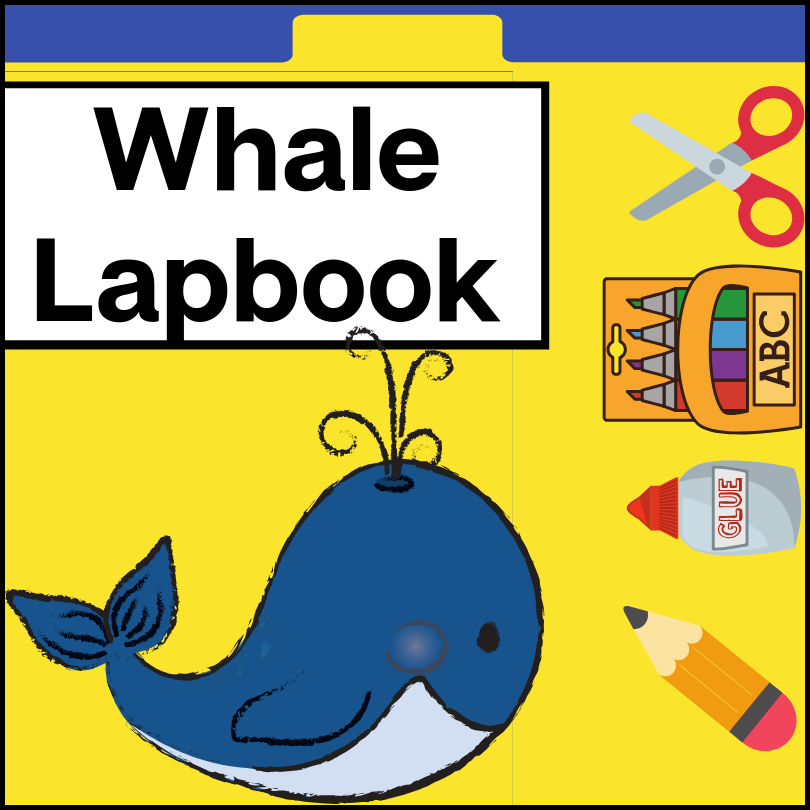 whale-lapbook