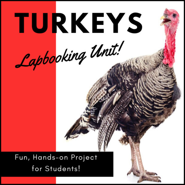 turkey-lapbook
