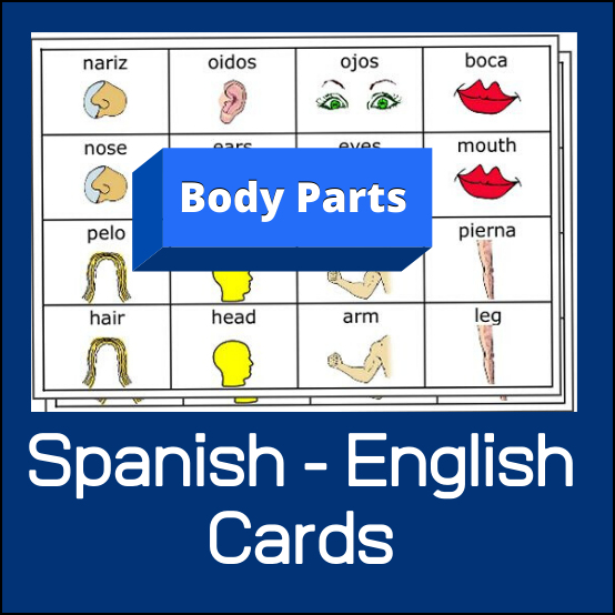 spanish-English-body-part-cards