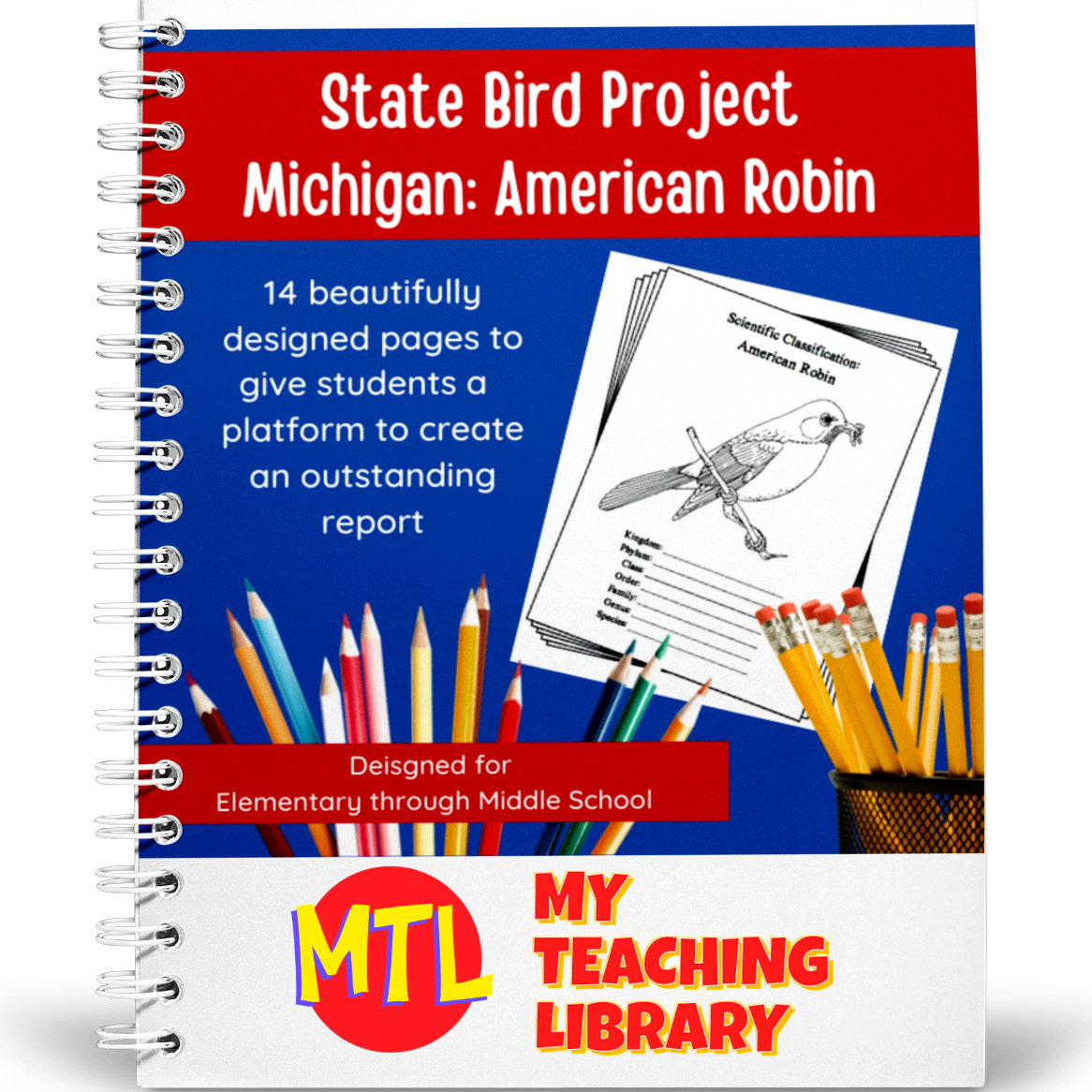 z 466 Michigan American Robin