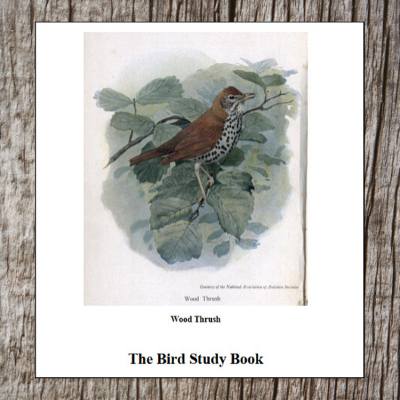 bird-study-book-pearson