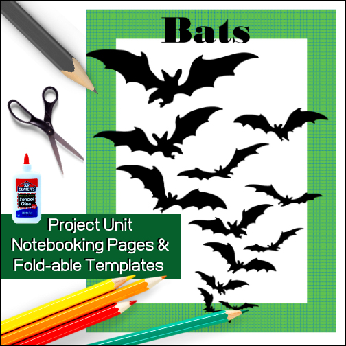 Studying bats? Here is a resource that will allow students to create a beautiful project that will show off what they've learned.
