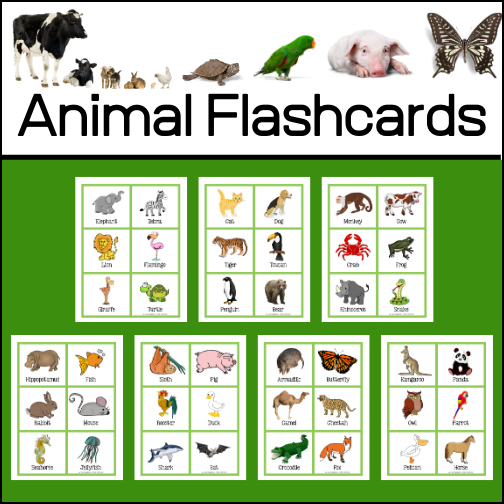 42 colorful animal flashcards