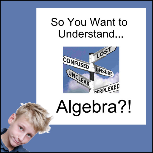 This 123 page math resource will help students who are learning or struggling to understand algebra better understand be giving detailed explanations of related terminology and concepts.