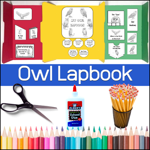This engaging, hands-on project will give students the materials necessary to learn all about owls and create a great project to display their learning!