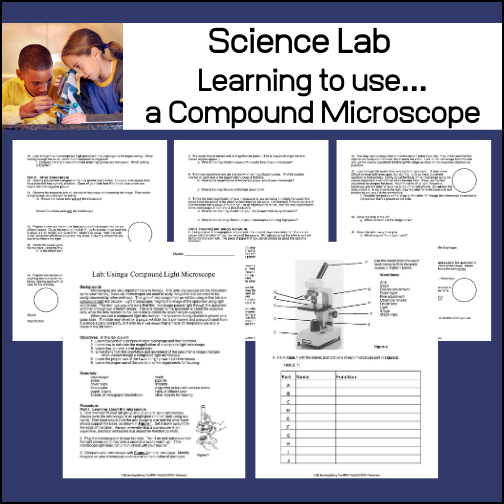 This is a Science lab during which students will...


- Learn the parts of a compound light microscope and their functions

- Learn to calculate the magnification

- Learn how to make a wet mount slide

- Learn to use the microscope